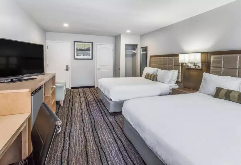 Hotel Sather Berkeley   Surestay Collection By Best Western