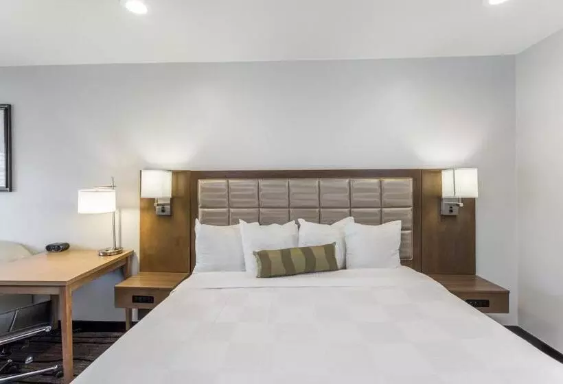 Hotel Sather Berkeley   Surestay Collection By Best Western