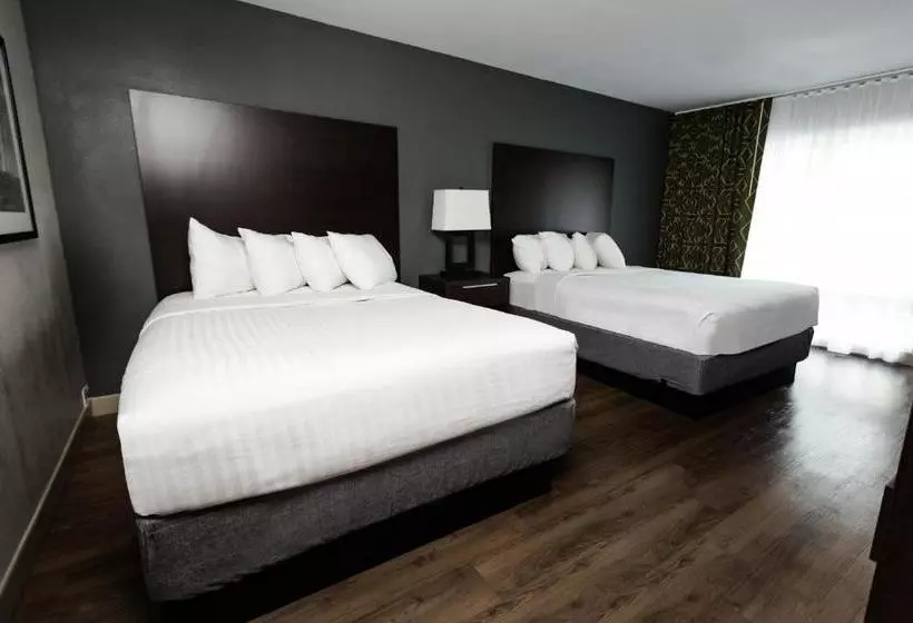 酒店 Vagabond Inn Oxnard