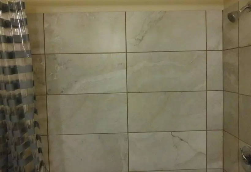 Motel Loyalty Inn Pasco