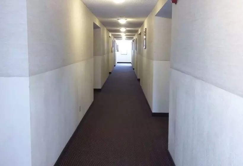 Motel Loyalty Inn Pasco