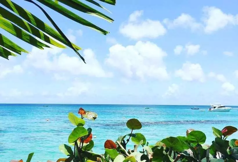 هتل Cobblers Cove Barbados