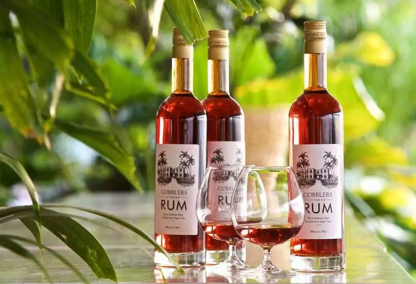 هتل Cobblers Cove Barbados