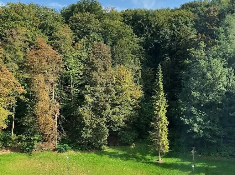 Grand Hotel Donat Superior & Wellness Center