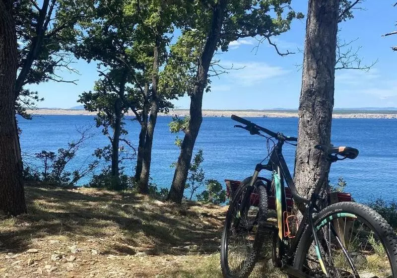 Hotel Kvarner Palace