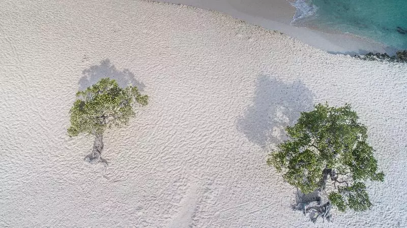 Amsterdam Manor Beach Resort