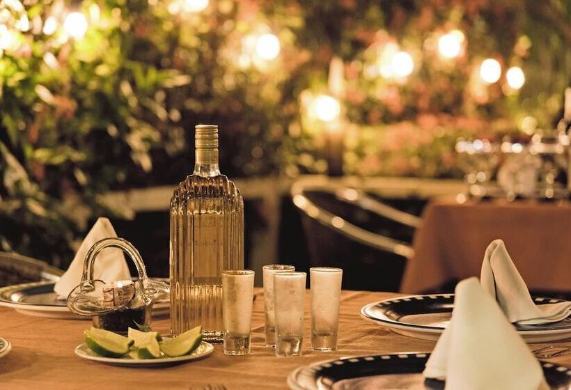 هتل Fontan Ixtapa