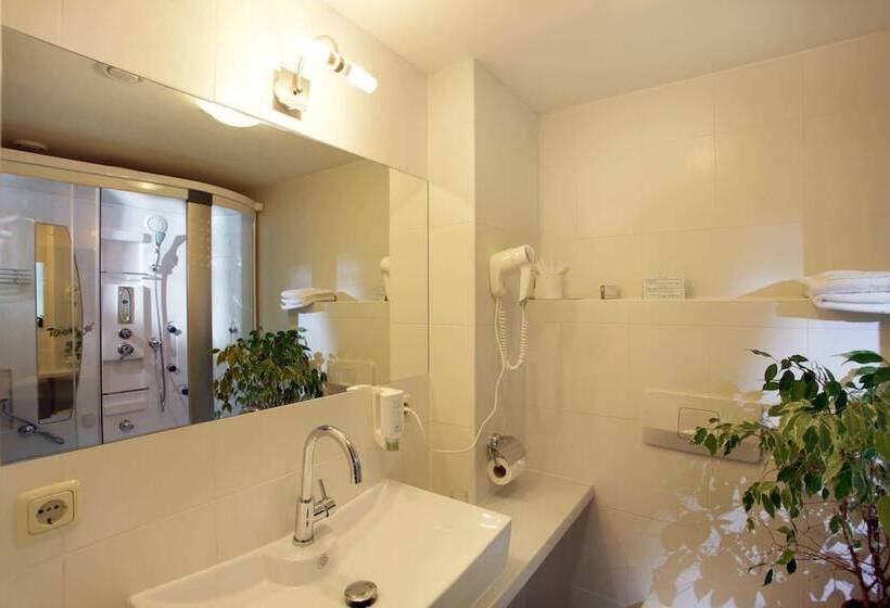 酒店 Alpenhof Brixen