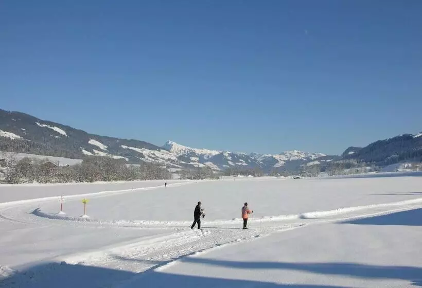 Отель Alpenhof Brixen