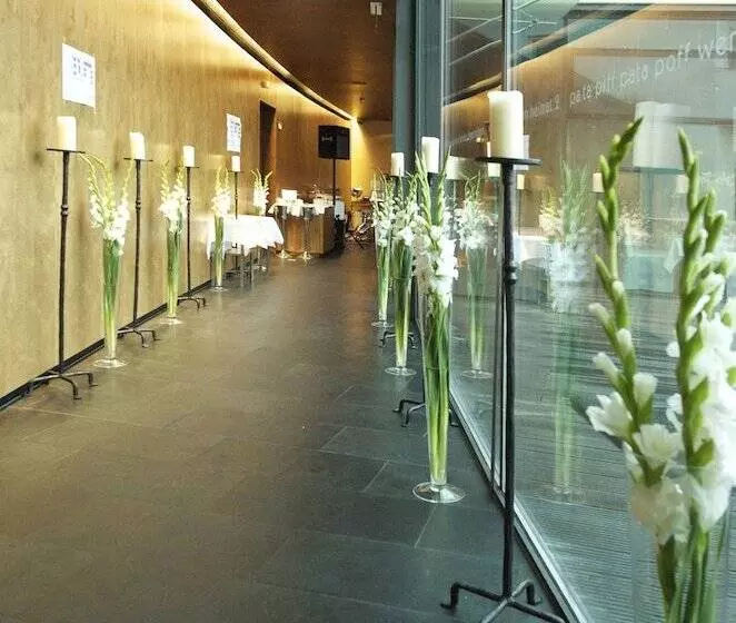 Parkhotel Hall In Tirol