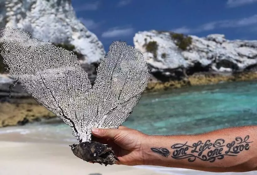 Stella Maris Resort Club