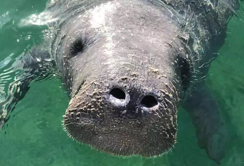 Stella Maris Resort Club