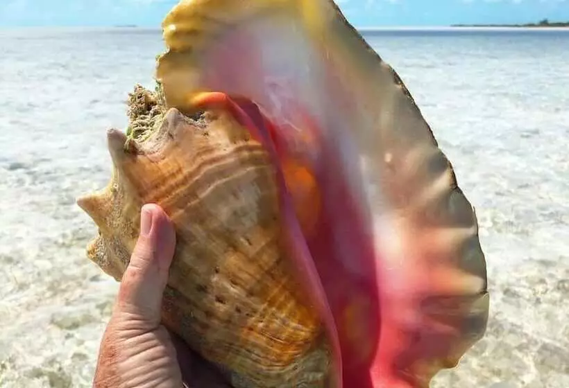 Stella Maris Resort Club