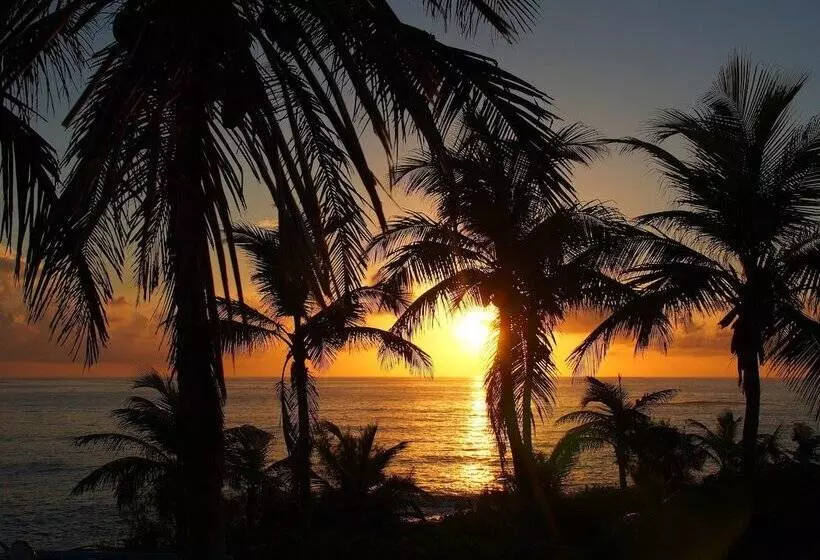 Stella Maris Resort Club