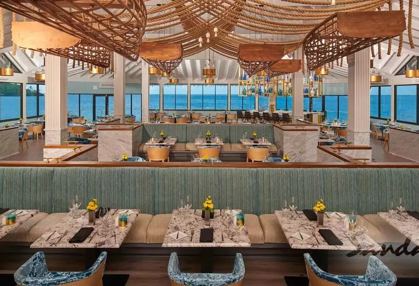 호텔 Sandals Halcyon   All Inclusive Couples Only