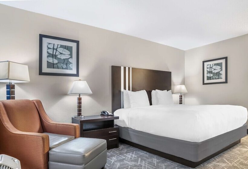 酒店 Best Western Andalusia Inn