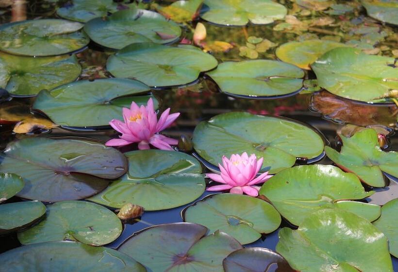 هتل Castel De Pontalesse