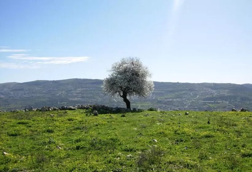 هتل Ajloun