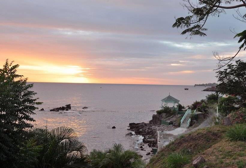 هتل Bird Rock Beach