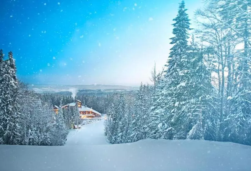 Отель Yastrebets Wellness & Spa