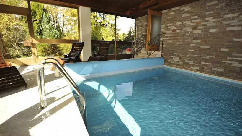 Отель My Mountain Lodge 