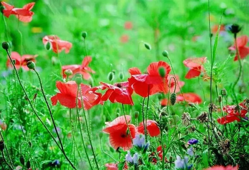 Seehotel Am Neuklostersee