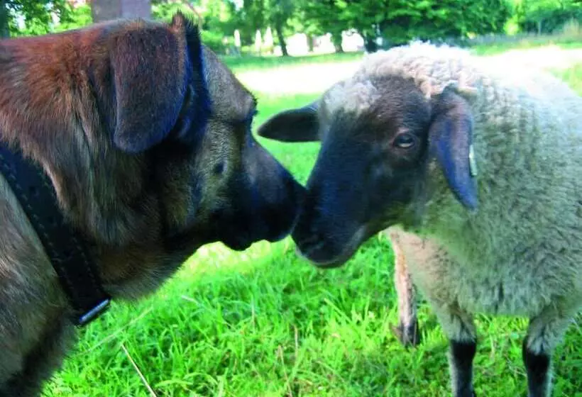 Seehotel Am Neuklostersee