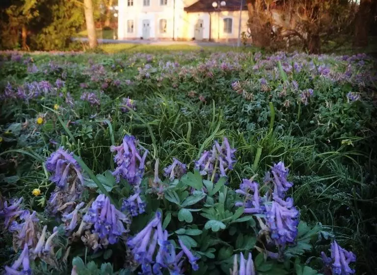 هتل åkeshofs Slott