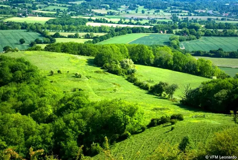 Warwickshire Park Hotel Kenilworth By Belvilla