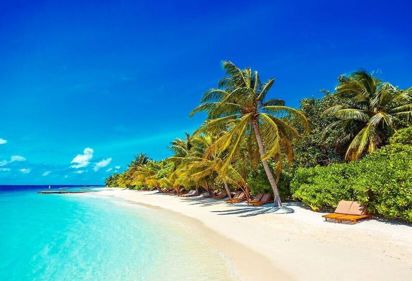 هتل Lily Beach Resort And Spa   All Inclusive