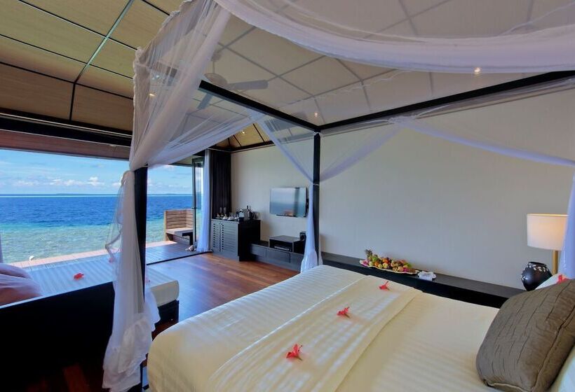 هتل Lily Beach Resort And Spa   All Inclusive