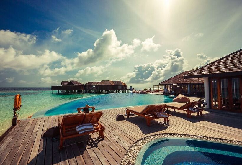 هتل Lily Beach Resort And Spa   All Inclusive