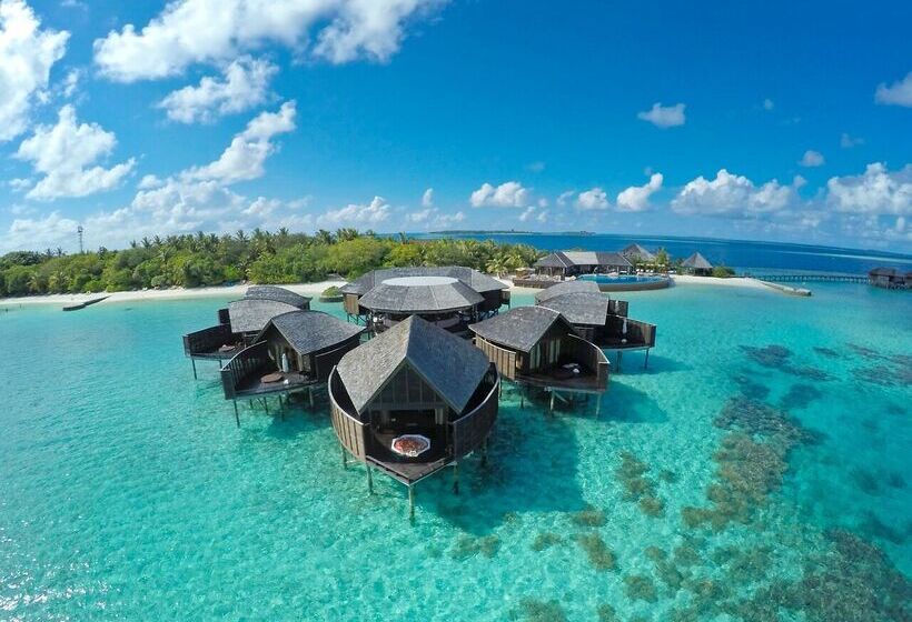 هتل Lily Beach Resort And Spa   All Inclusive