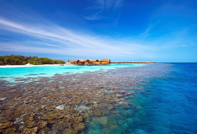 هتل Lily Beach Resort And Spa   All Inclusive