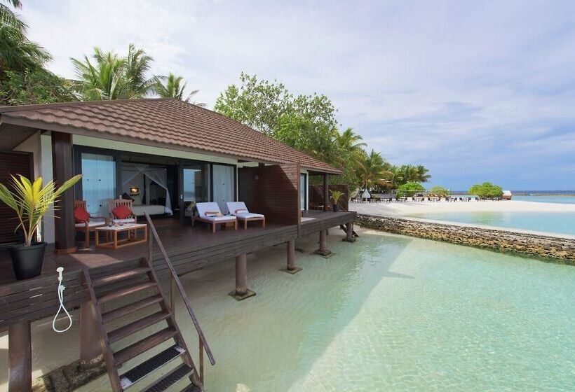 هتل Lily Beach Resort And Spa   All Inclusive