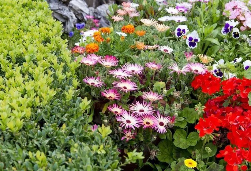 乡村酒店 Hempstead House Hotel & Restaurant