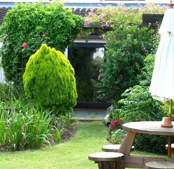 Отель The Plough Inn