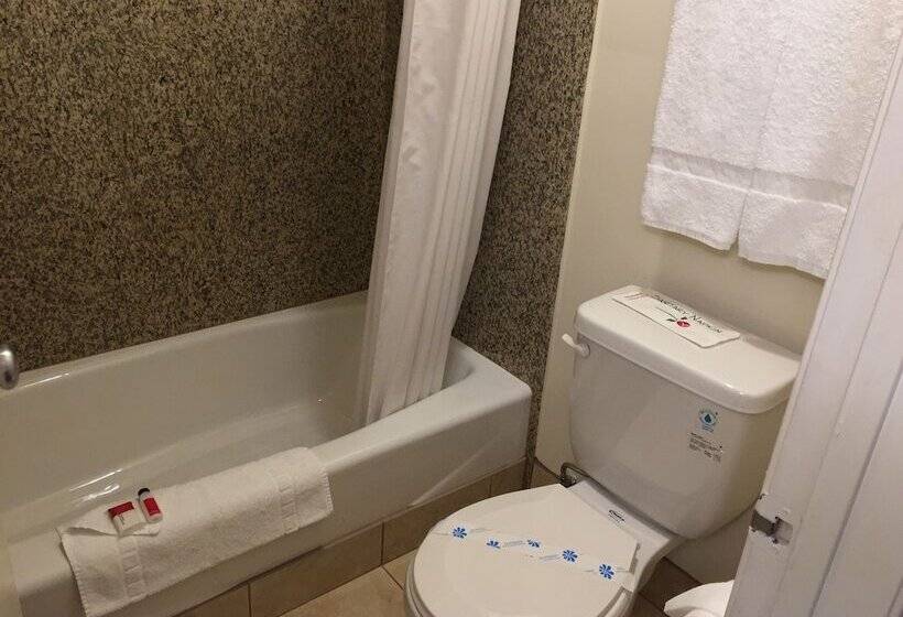 בית מלון כפרי Triplodge Of Santa Clarita