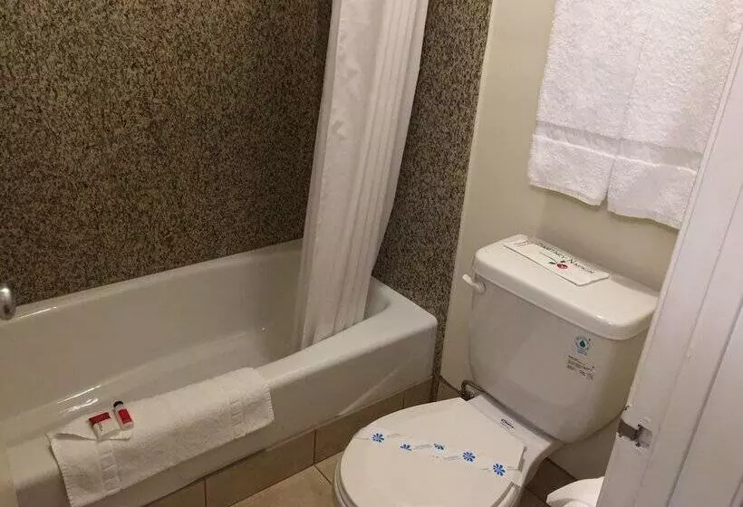 酒店 Triplodge Of Santa Clarita