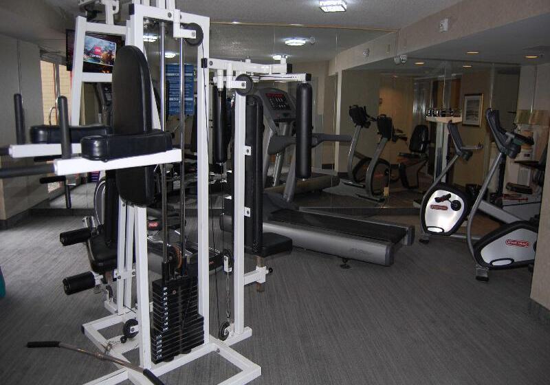 هتل Holiday Inn Montreal Centre Ville Downtown, An Ihg