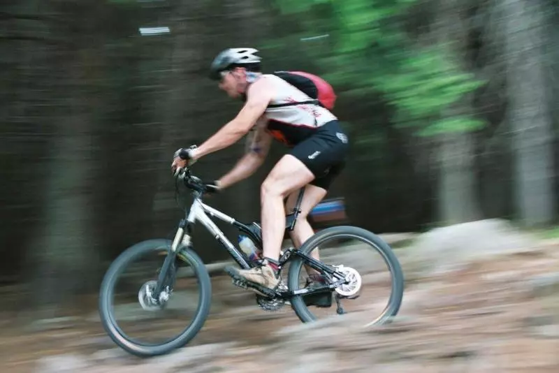 Отель Landhaus Zu Den Rothen Forellen