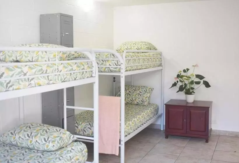 酒店 Waikiki Beachside Hostel