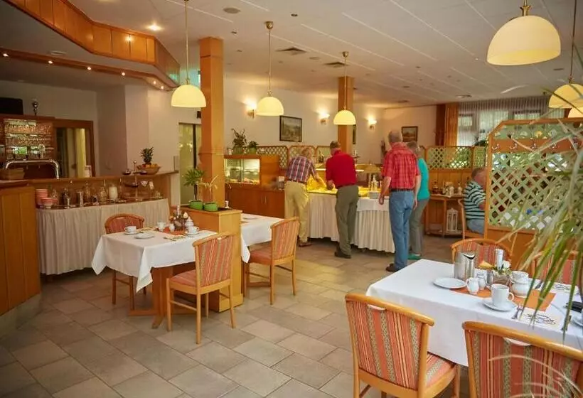 Kurpark Flair Hotel Im Ilsetal