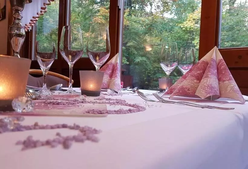 Kurpark Flair Hotel Im Ilsetal