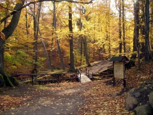 Kurpark Flair Hotel Im Ilsetal