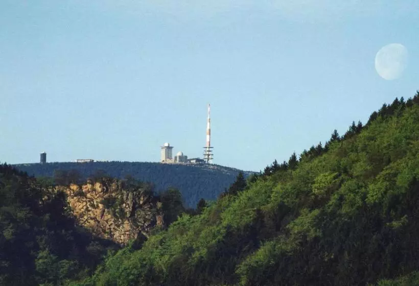 Kurpark Flair Hotel Im Ilsetal