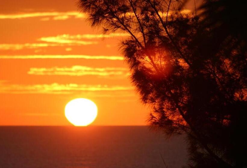 فندق على الطريق Silver Surf Gulf Beach Resort