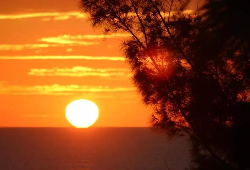 مُتل Silver Surf Gulf Beach Resort