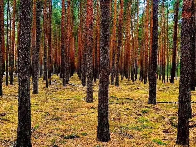 Spree Waldhotel Cottbus