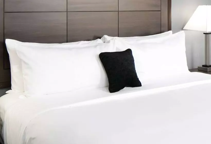 酒店 Red Lion Inn & Suites Caseyville